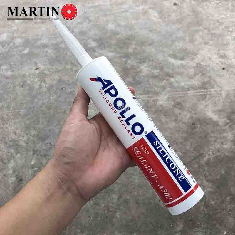 Silicon Apollo A300